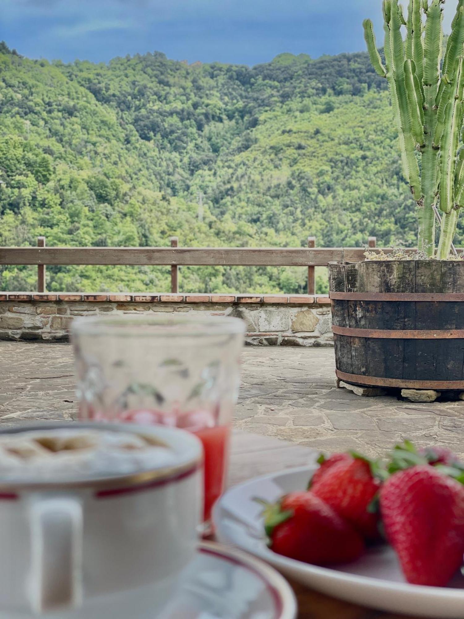 Agriturismo Piano Di Andrea Ostigliano Eksteriør billede
